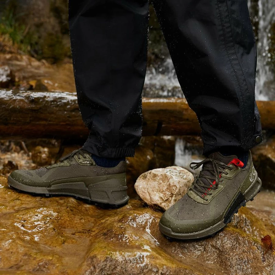 Clearance * Men'S Biom 2.1 Gtx Low Tarmac/Grape Leaf Ecco Best-Selling